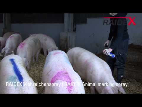 Краска-спрей Raidex для маркировки животных, 400 мл - фото 1 - id-p2793541663