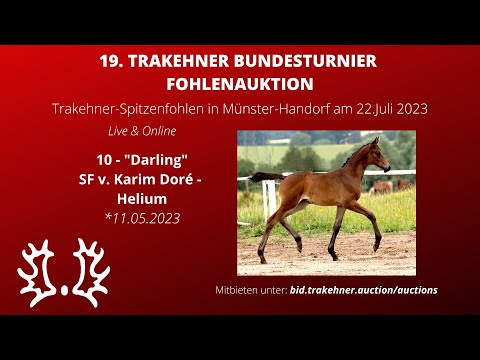 10 - Darling - SF v. Karim doré - Helium *11.05.2023