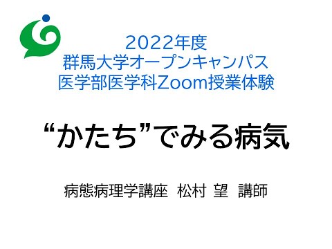 Zoom授業体験 医学部医学科　病態病理学講座 　松村 望  講師 「"かたち"でみる病気」2022.7.22実施分