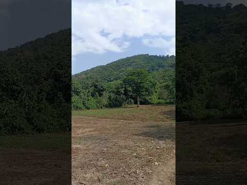 Peaceful Farm Life in Santa Cruz Analquito 🌄 | El Salvador's Hidden Mountain Gem 🇸🇻  #TravelShorts