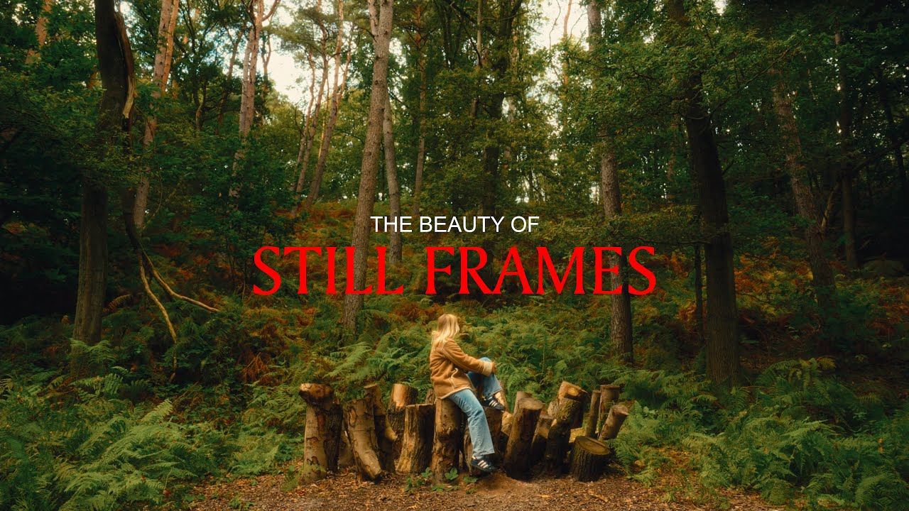 the beauty of still frames | Sony FX30 | Film Emulation