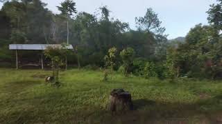 Download lagu keindahan Alam ' Camping Ground Tanah Sirah ' Sumatera Barat mp3