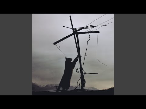 La Montaña - Bruno Pinto