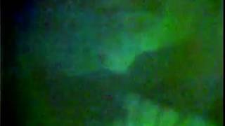 The Fall - Totally Wired