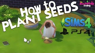 How to PLANT SEEDS in The Sims 4 on PS4