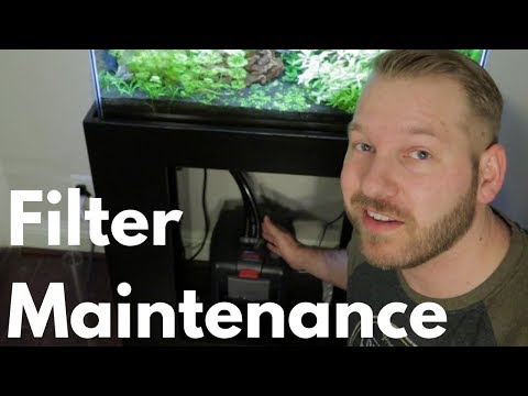 Watch Video on YouTube