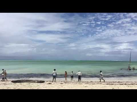 Kenya Watamu bassa marea