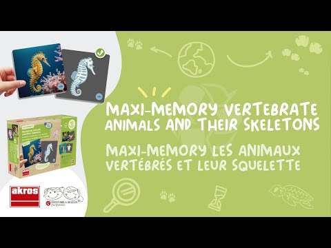 Maxi Memory Animali Vertebrati e Loro Scheletro, Gioco Educativo per Bambini