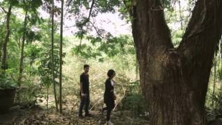 Banda Neira - Yang Patah Tumbuh Yang Hilang Berganti - Album Teaser 3