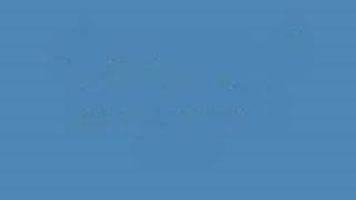 The Disease of the Dancing Cats