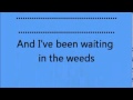 eagles waiting in the weeds lyrics 