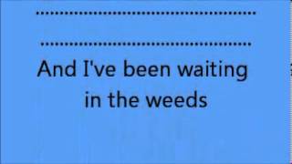 eagles waiting in the weeds lyrics