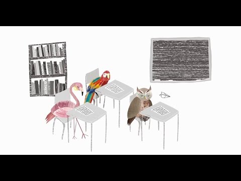 Student Design Awards Winner - Curiosity: Curious Owls