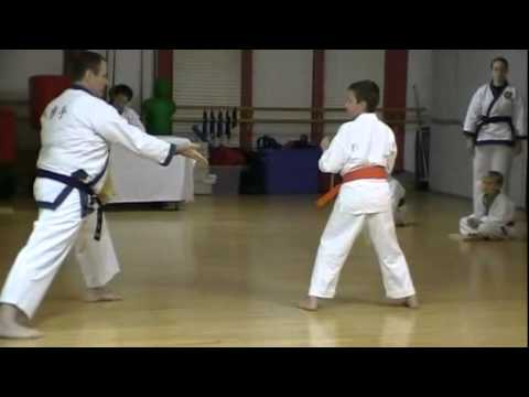 Sam's karate test on 2011-01-28 - board break