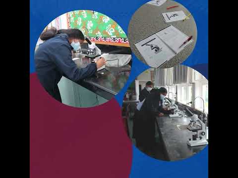 Module Highlights at Kelston Girls' College