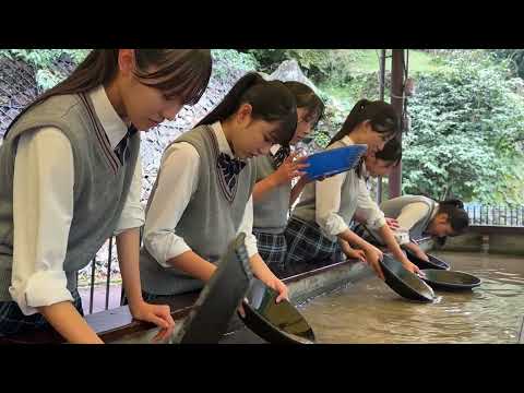 新居浜東高校 作品サムネイル