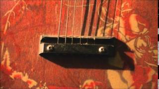 There's A Tear In My Beer w/lyrics (cover) Ginny n' Waldo