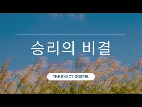 영상