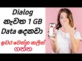 New Dialog free data in sinhala | 2020 | My dialog app New Dialog free data in sinhala | 2020 | My dialog app