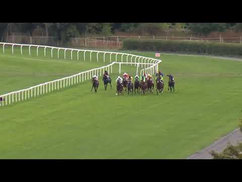 8. dostih - CENA SPOLEČNOSTI SUDOP PRAHA - Videozáznam Zlatého poháru EŽ Praha 2018 v Chuchli