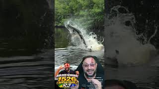 Tem um peixe muito grande ali! Turismo da pesca esportiva vs Preservação ambiental #biologohenrique