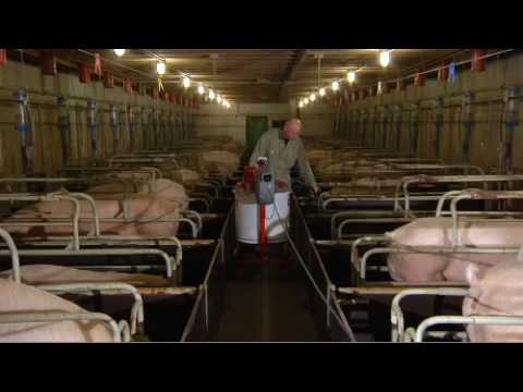 WEDA EasyFeeder: Mobile Flüssigfütterung_mobile liquid feeding