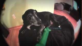 The Search with Mree! -Grant Leonard