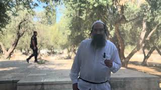 3 רגעי השיא של משה רבנו | הרב גוד גולדשמיד (ישיבת הר הבית) - התמונה מוצגת ישירות מתוך אתר האינטרנט יוטיוב. זכויות היוצרים בתמונה שייכות ליוצרה. קישור קרדיט למקור התוכן נמצא בתוך דף הסרטון