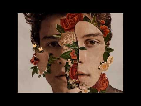 Shawn Mendes - When You're Ready