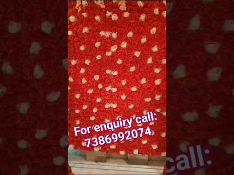 sangeet flower decoration #flowers