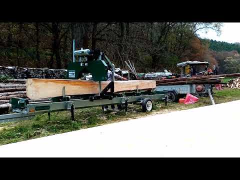 Heute Schneiden mit dem Woodlander Hm126 Stamm/Tribe 22"=55cm  (Deutsch/German)