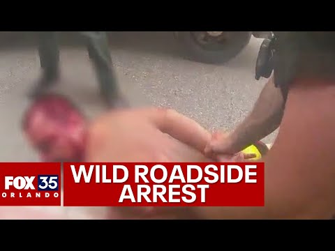 Bloody Florida man arrested in wild roadside video