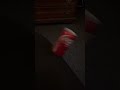 Coca Cola Can Falling Over