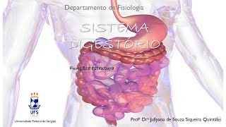 MÓDULO 2 Aula   8a TGI Introdução