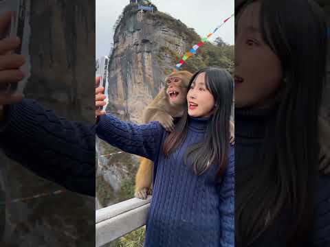 Chor Monkey Gang 🐒😂