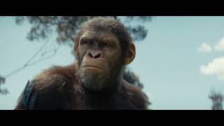 Kingdom of the Planet of the Apes | Adventure