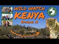 Wildwatch With Us Ep 13