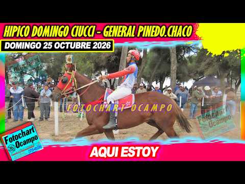 AQUI ESTOY General Pinedo CH 25 10 2026