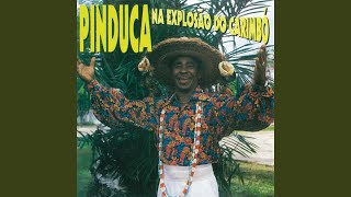 Pescador Da Salvaterra