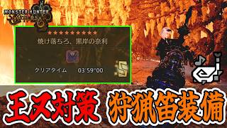 【非火事場3分台】歴戦王ヌ・エグドラ対策スキルを積んだ装備を紹介！【モンハンワイルズ】