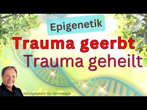 Traumaheilung – Der unbekannte Weg