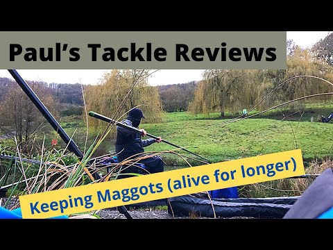 Paul’s Tackle Reviews - Keeping Maggots (alive for longer)