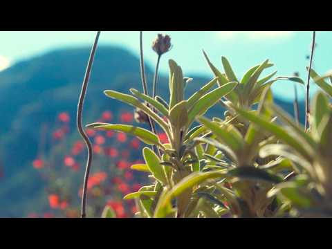 video du spectacle