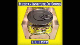 Mexican Institute of Sound 