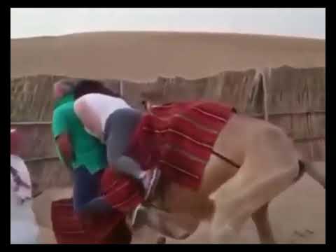 Socorro pra mim é Maria, Maria pra mim é Socorro!