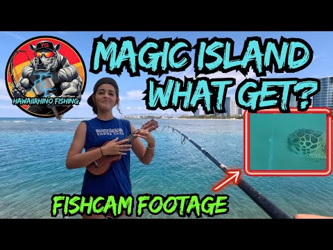 MAGIC ISLAND-WHAT GET?