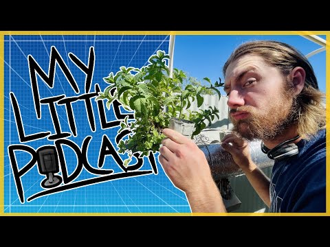 WE'RE BACK! Bedframe & Aquaponics | Episode 113 | My Little Podcast