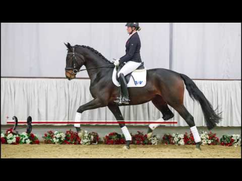 28 Fabula Ria Stute v. Franziskus - Likoto xx