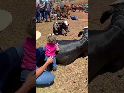 Encontro de Boiadeiros em Silvianopolis MG