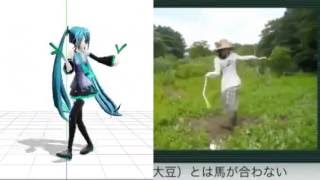 Hatsune Miku Ievan Polkka Dance Comparison...